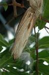 Dcim5674/DSC_6751