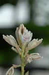 Dcim5674/DSC_6763