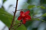 Dcim5674/DSC_6812
