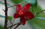 Dcim5674/DSC_6816