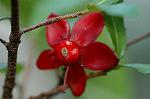Dcim5674/DSC_6819
