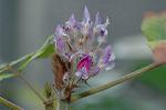 Dcim5674/DSC_6825