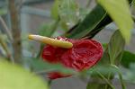 Dcim5674/DSC_6835