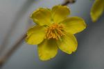 Dcim5675/DSC_6918
