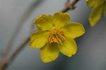 Dcim5675/DSC_6919