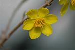 Dcim5675/DSC_6921