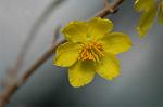 Dcim5675/DSC_6922
