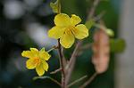 Dcim5675/DSC_6924