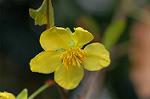 Dcim5675/DSC_6927