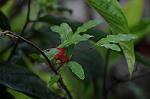 Dcim5676/DSC_1832