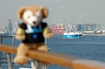 Dcim5678/DSC_7100