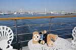 Dcim5679/DSC_1914