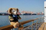 Dcim5679/DSC_1944