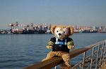 Dcim5679/DSC_1955