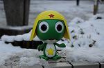 Dcim5681/DSC_2183