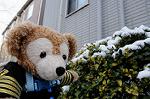 Dcim5681/DSC_2204