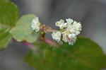 Dcim5684/DSC_7204