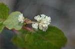 Dcim5684/DSC_7205
