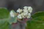 Dcim5684/DSC_7206