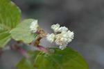 Dcim5684/DSC_7208