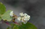 Dcim5684/DSC_7209