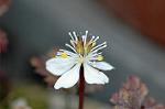 Dcim5684/DSC_7219
