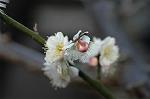 Dcim5684/DSC_7245