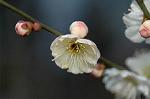 Dcim5684/DSC_7251