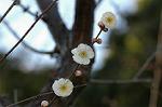 Dcim5684/DSC_7272