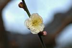 Dcim5684/DSC_7273