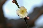 Dcim5684/DSC_7274