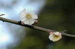 Dcim5684/DSC_7276