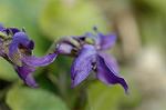 Dcim5684/DSC_7288