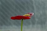 Dcim5685/DSC_7379