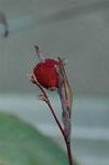 Dcim5685/DSC_7391