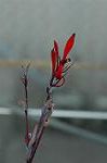 Dcim5685/DSC_7392