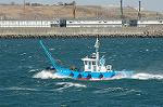 Dcim5699/DSC_8083