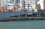Dcim5701/DSC_8288
