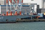Dcim5701/DSC_8295