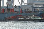 Dcim5701/DSC_8306