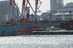 Dcim5701/DSC_8307