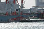 Dcim5701/DSC_8310