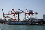 Dcim5702/DSC_3304