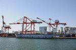 Dcim5702/DSC_3311
