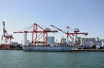 Dcim5702/DSC_3313