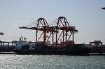 Dcim5702/DSC_3324