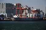 Dcim5703/DSC_3405