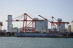 Dcim5703/DSC_3426