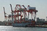 Dcim5704/DSC_0202