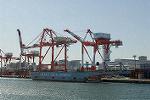 Dcim5704/DSC_0205